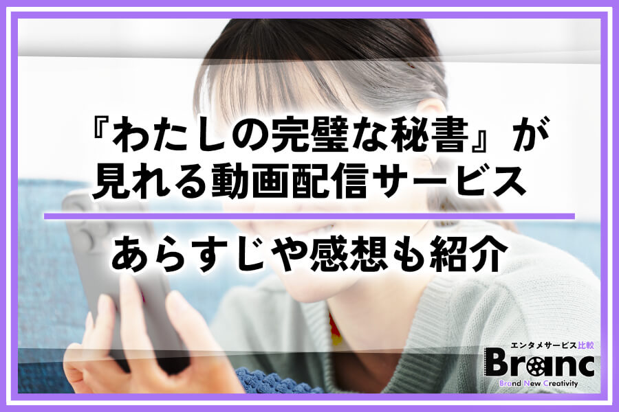 韓国ドラマ『わたしの完璧な秘書』が見れる動画配信サービス！あらすじや視聴者の感想も