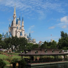 Disney+がインドでクリケット配信権喪失後に戦略見直し、依然としてストリーミング市場をリード 画像