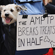 長引くストライキに経済的な影響も…【8/29】ハリウッドストライキまとめ 画像