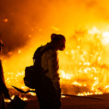 ハリウッドを襲う試練：ロサンゼルス山火事がもたらす映画産業への影響 画像