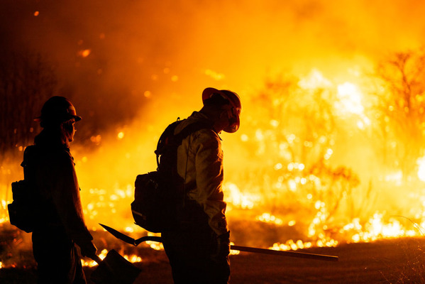 ハリウッドを襲う試練：ロサンゼルス山火事がもたらす映画産業への影響 画像