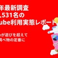日本人の65％が「ほぼ毎日」利用──531名調査で判明したYouTubeの新常識