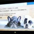 Audible、2026年は「聞く読書」をさらに身近に。話題作・名作のオーディオブック化、オーディオファースト作品強化、新ジャンル開拓の3本柱を発表