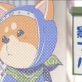 NAFCA、オリジナルアニメ『ほくとと影マル』を公開。アニメーター育成の教材として活用へ