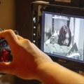 フォーカス送りは「演技」である——Netflix・ソニー・JSCが挑む、次世代フォーカスプラー育成の現場【レポート】