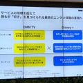 ディズニープラスとDMM TVのセットプラン
