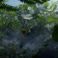ポール・グリモア賞受賞『Dandelion's Odyssey』Annecy2025