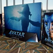 『アバター2』日本イベントでの「イルカショー」が問題視　作品が持つ環境保護のメッセージ性と相違 画像