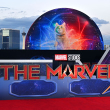 マーベル映画はこれからどうなる？ストライキの影響受けた『マーベルズ』が遂に公開 画像