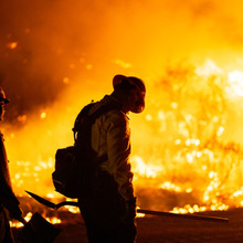 ハリウッドを襲う試練：ロサンゼルス山火事がもたらす映画産業への影響 画像