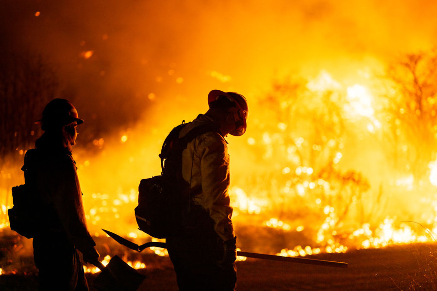 ハリウッドを襲う試練：ロサンゼルス山火事がもたらす映画産業への影響