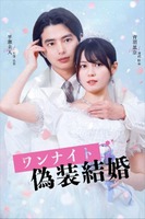 『ワンナイト偽装結婚』